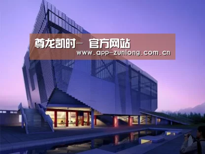 案例展示六