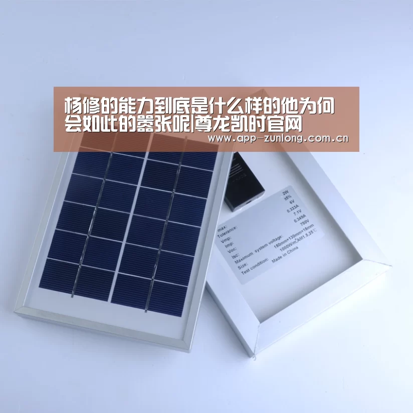 杨修的能力到底是什么样的他为何会如此的嚣张呢|尊龙凯时官网(图4) 尊龙凯时