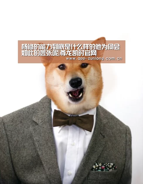 杨修的能力到底是什么样的他为何会如此的嚣张呢|尊龙凯时官网(图3) 尊龙凯时人生就是搏