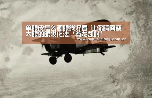 单眼皮怎么画眼线好看 让你瞬间变大眼的眼妆化法‘尊龙凯时’(图4) 尊龙凯时