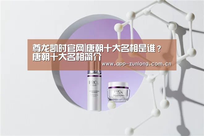 尊龙凯时官网|唐朝十大名相是谁?唐朝十大名相简介(图2) 尊龙凯时官网
